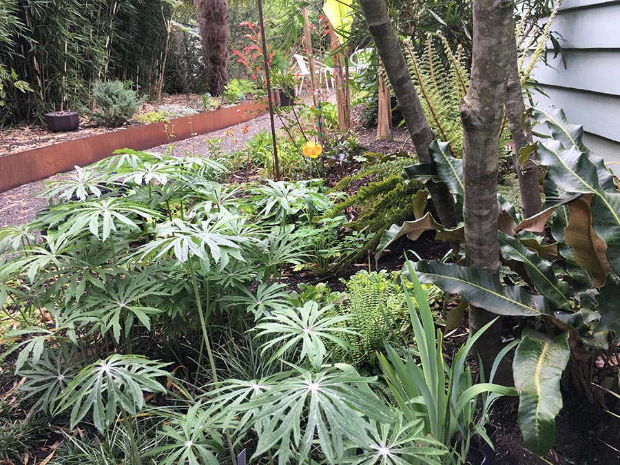 Jane Finch-Howell Garden