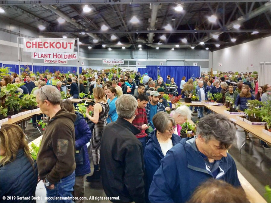Hortlandia Checkout Lines