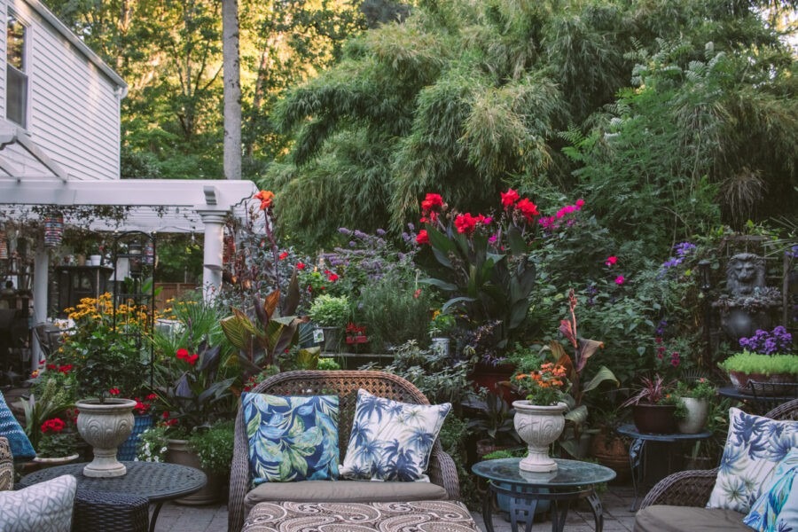 tropical garden design