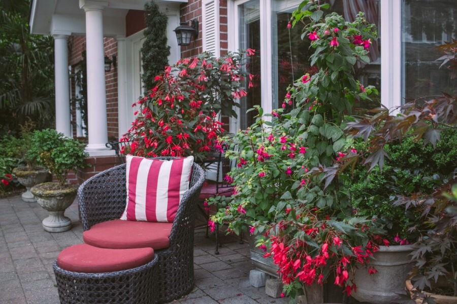 tropical garden design