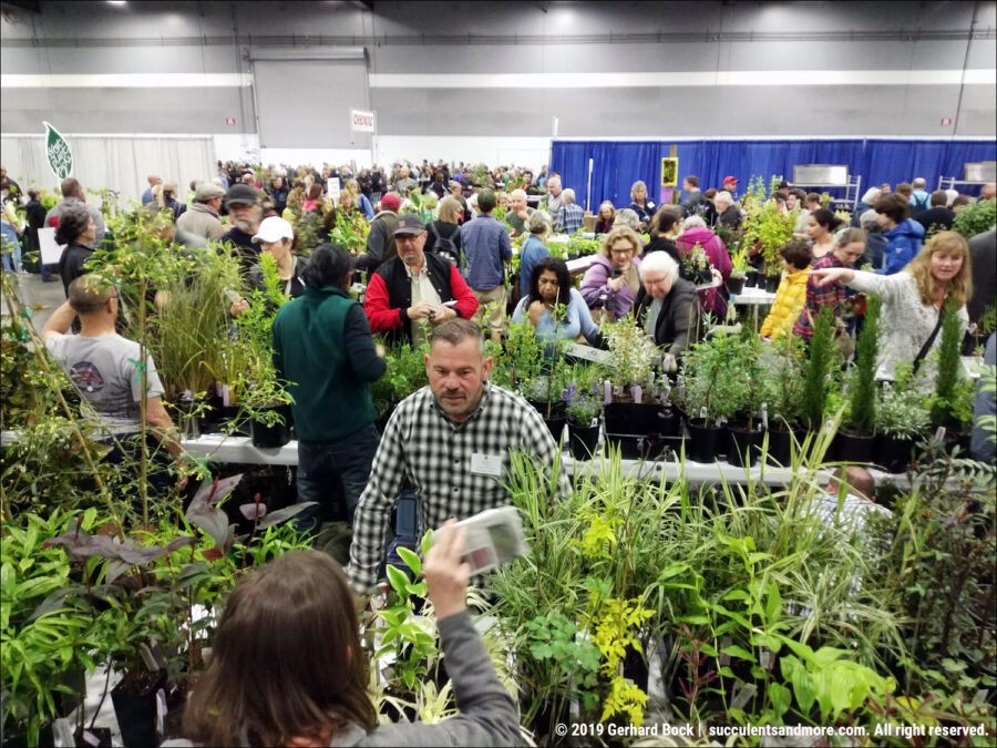 Hortlandia Sean Hogan