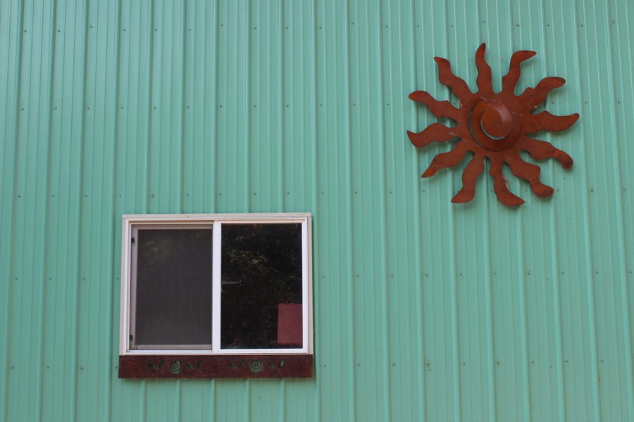 Sedum Chicks - Cold Hardy Succulents