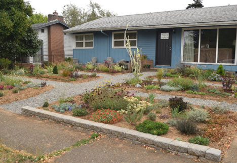 Six Gardening Lessons I Learned from My Cats