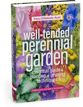 The Well-Tended Perennial Garden