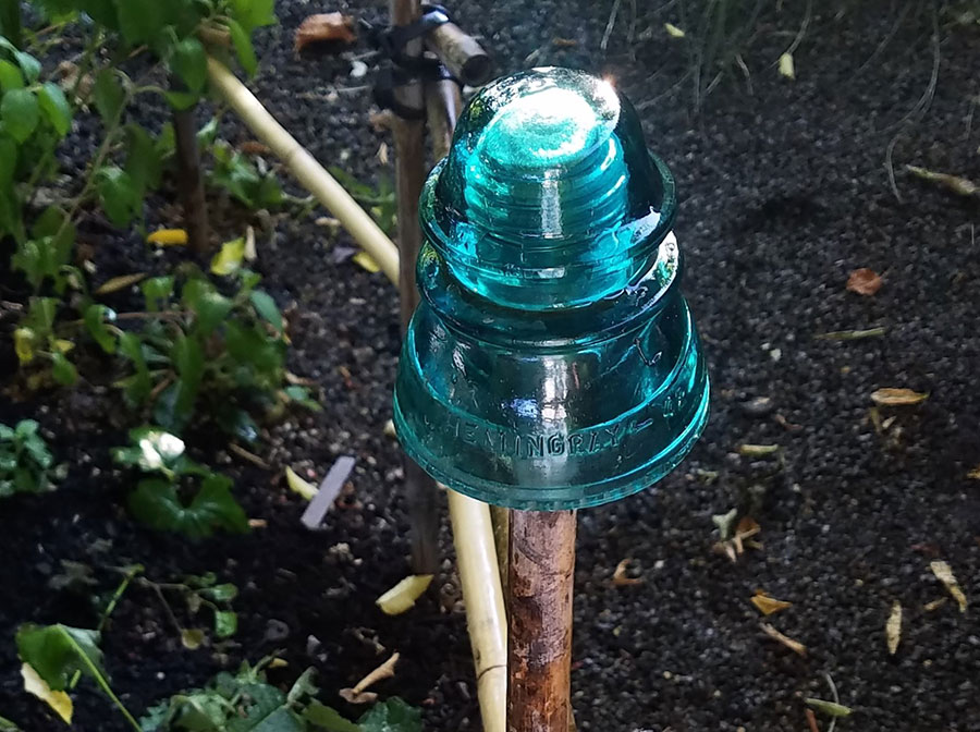The beauty of a second-hand glass electrical insulator on top of a bamboo rod