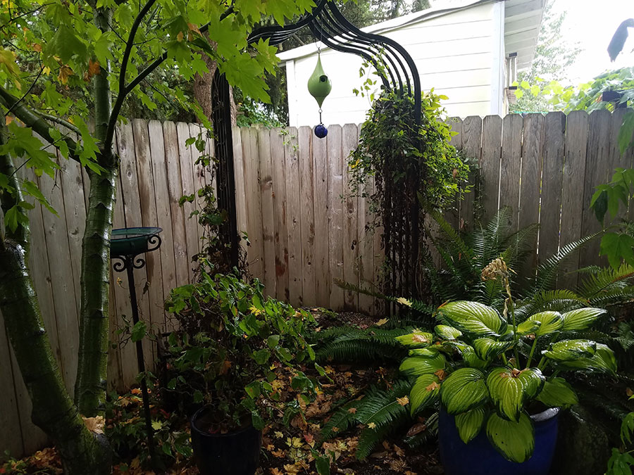 Corner-arbor-with-bird-bath-combination-of-second-hand-coat-rack-and-glass-bowl-with-Andrew-Borth-designed-and-3D-printed-birdhouse
