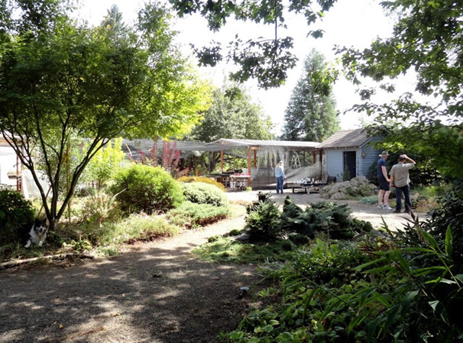 Wild Ginger Farm (Photo by Loree Bohl of www.thedangergarden.com)