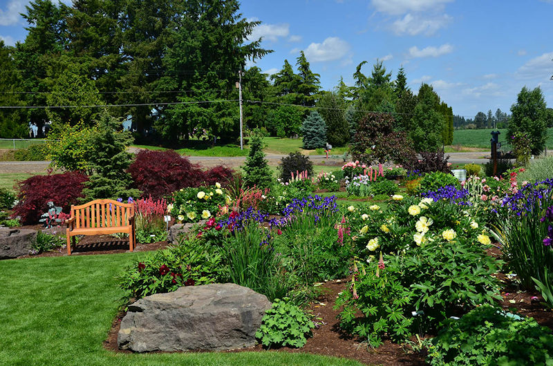 HPSO Open Gardens - Adelman Peony Garden