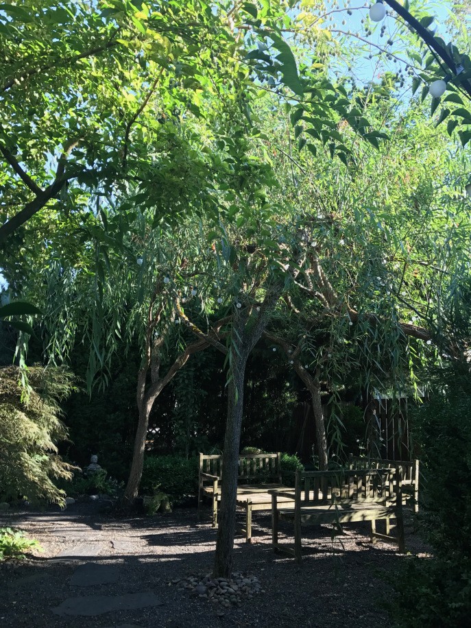 Campiello Maurizio Garden