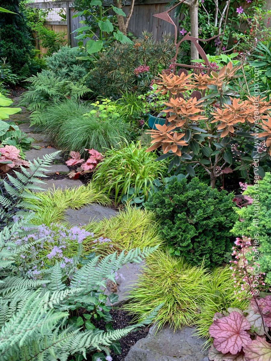 "Mix and Match – Tips for Creating Perfectly Coordinated Plant Combos" with Darcy Daniels