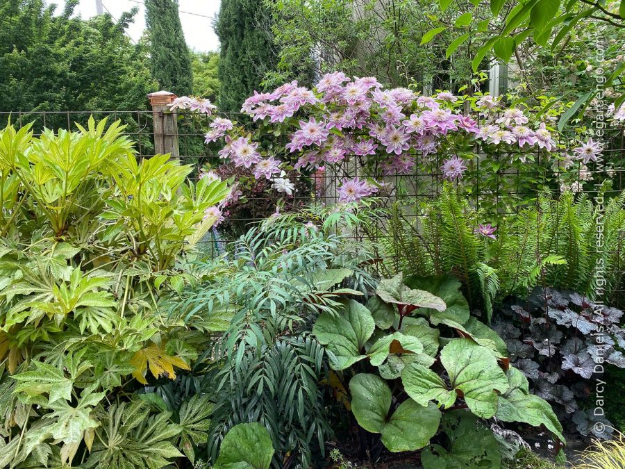 "Mix and Match – Tips for Creating Perfectly Coordinated Plant Combos" with Darcy Daniels