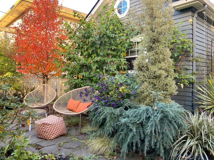 "Mix and Match – Tips for Creating Perfectly Coordinated Plant Combos" with Darcy Daniels