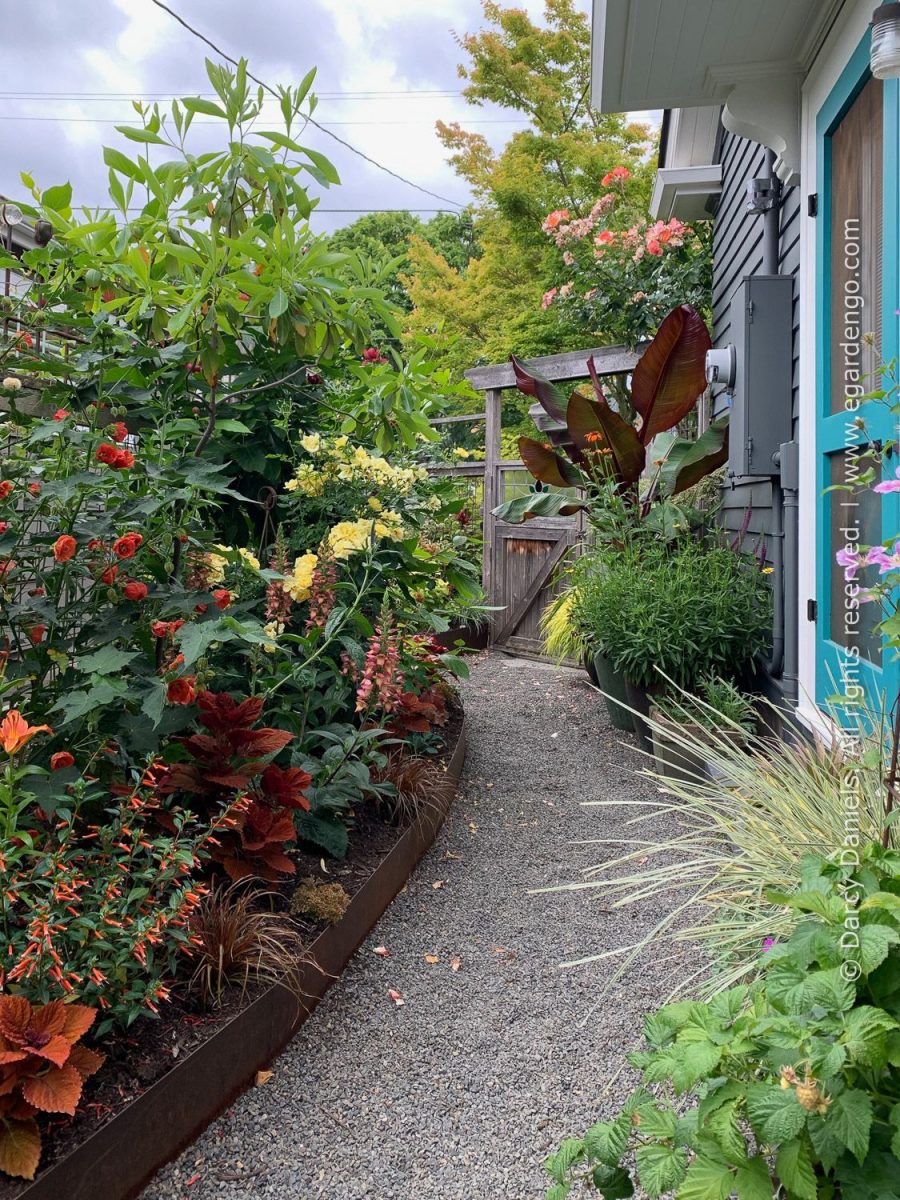 "Mix and Match – Tips for Creating Perfectly Coordinated Plant Combos" with Darcy Daniels