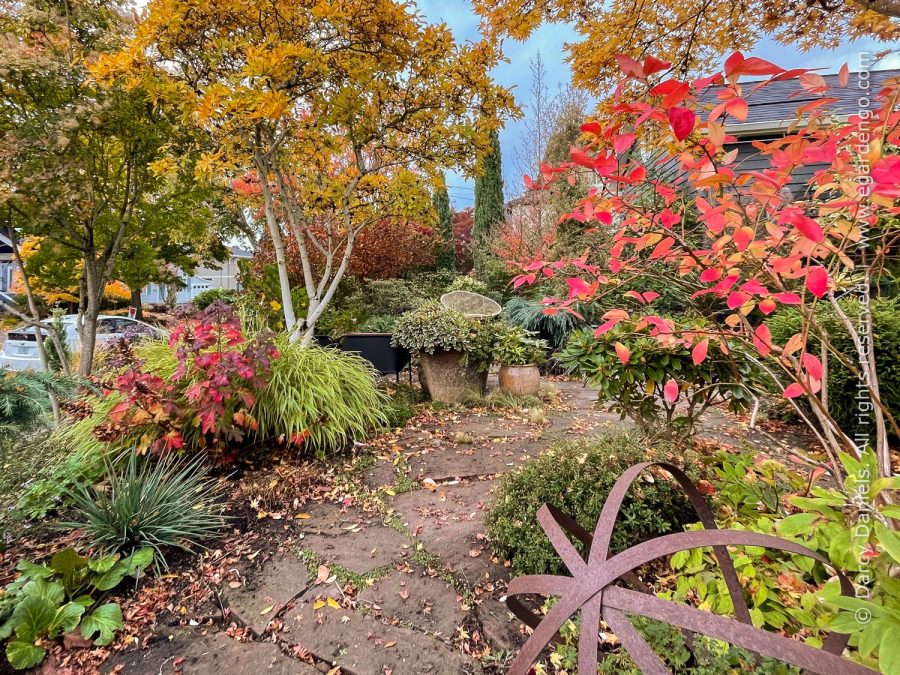 "Mix and Match – Tips for Creating Perfectly Coordinated Plant Combos" with Darcy Daniels