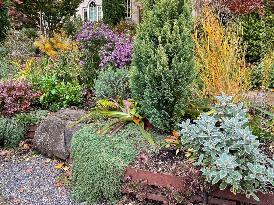 "Mix and Match – Tips for Creating Perfectly Coordinated Plant Combos" with Darcy Daniels