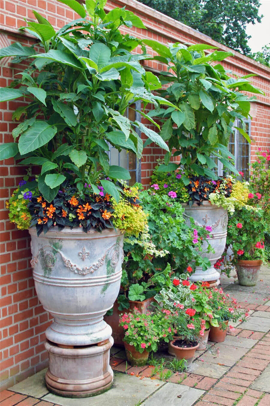 Touring in the East of England with HPSO