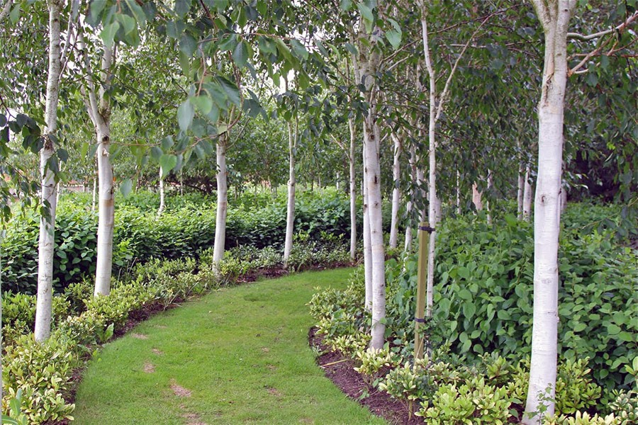 Touring in the East of England with HPSO