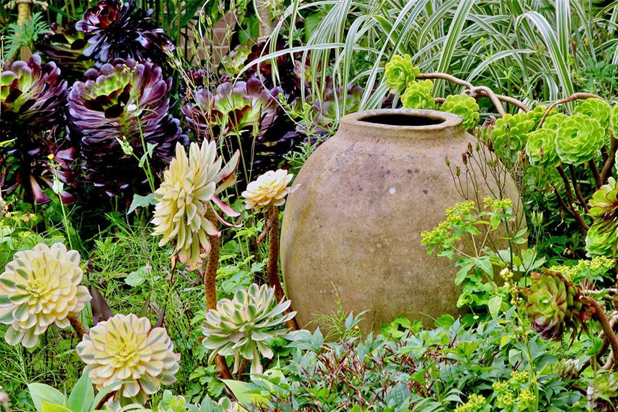 Touring in the East of England with HPSO