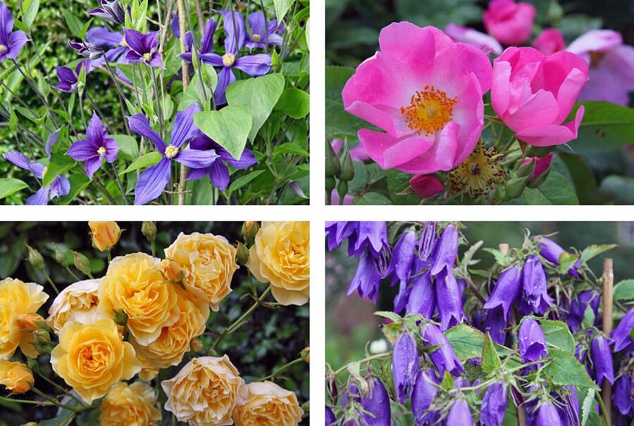 Touring in the East of England with HPSO