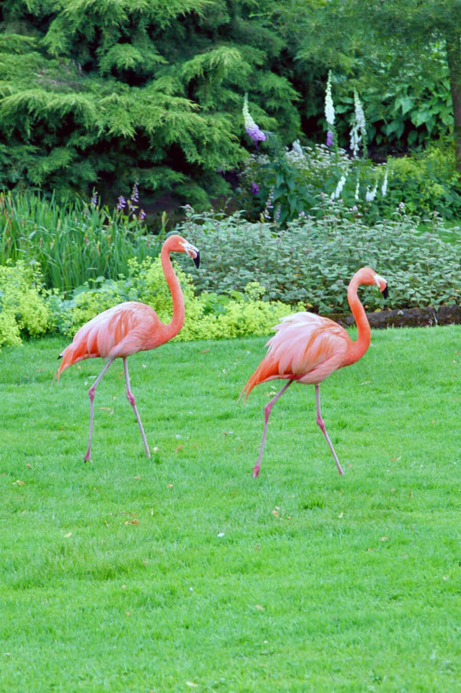 Touring in the East of England with HPSO