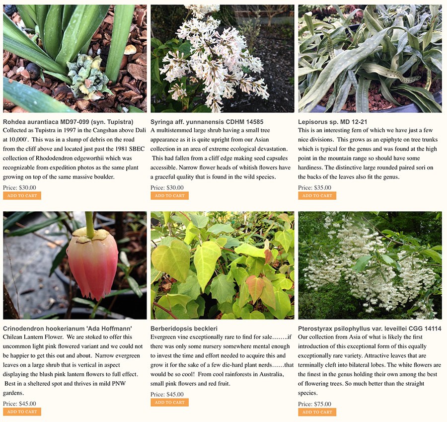 Far Reaches Farm - HPSO Fall PlantFest 2018