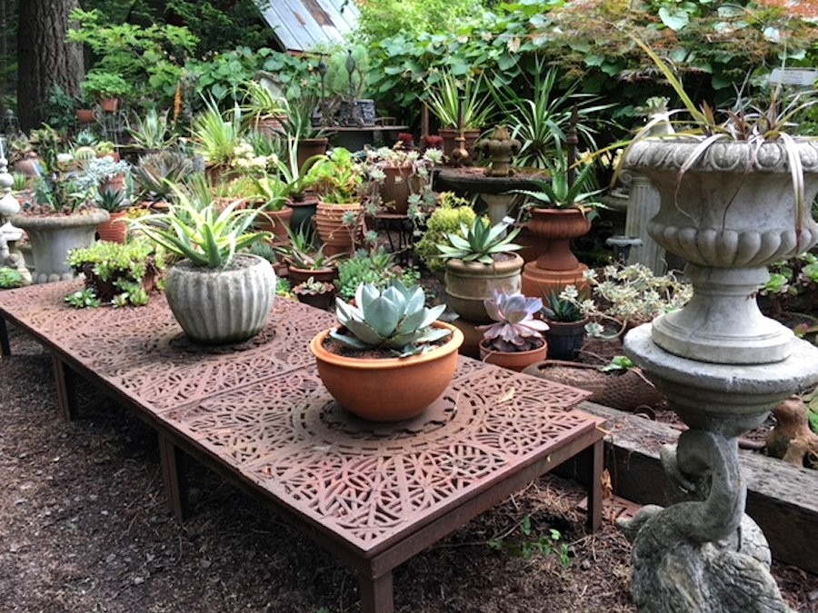 Beth Hansen-Winter Garden