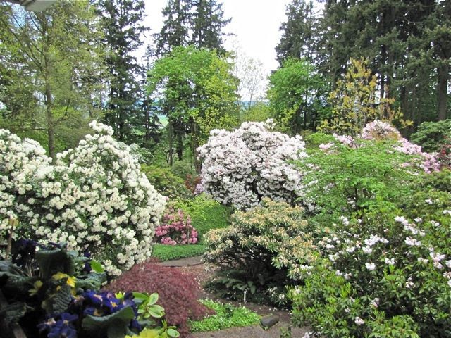 Hardy Plant Society of Oregon Open Gardens