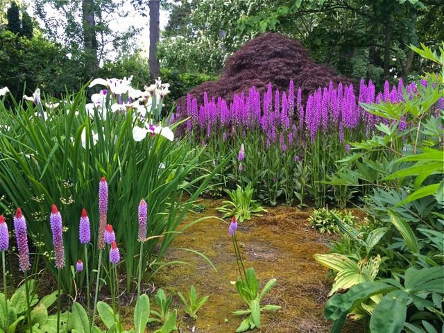 Hardy Plant Society of Oregon Open Gardens