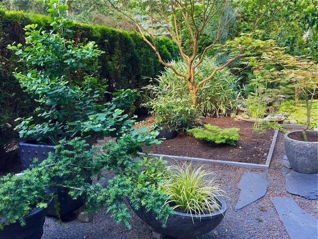 Hardy Plant Society of Oregon Open Gardens