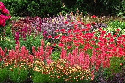 Hardy Plant Society of Oregon Open Gardens