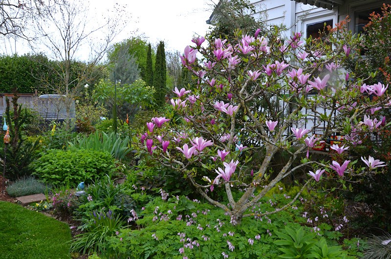 HPSO Open Gardens - The Lents Farmer, Matthew Hubbard
