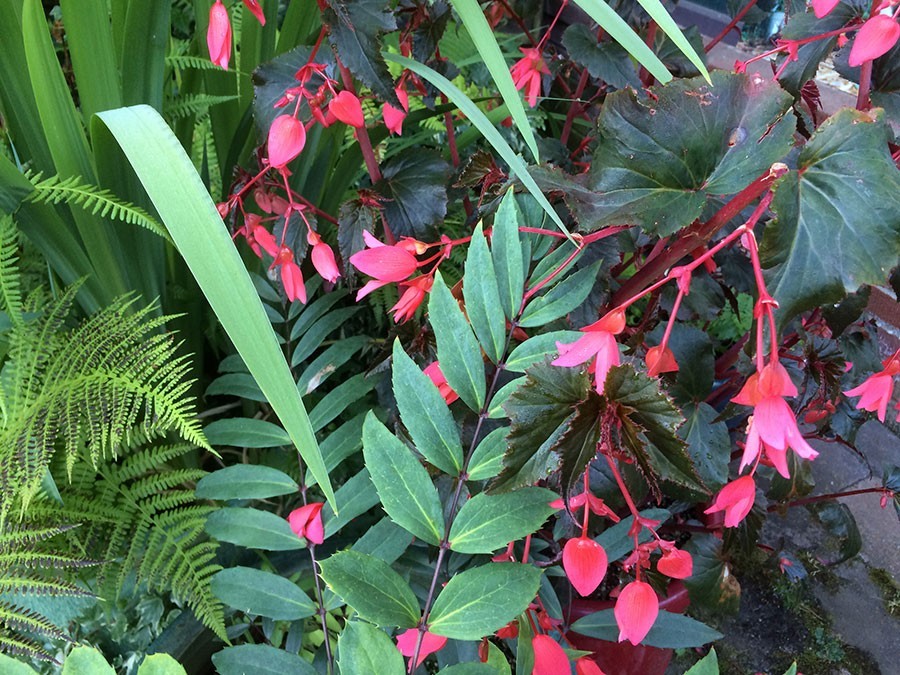 The Courtyard Garden by Linda Wisner