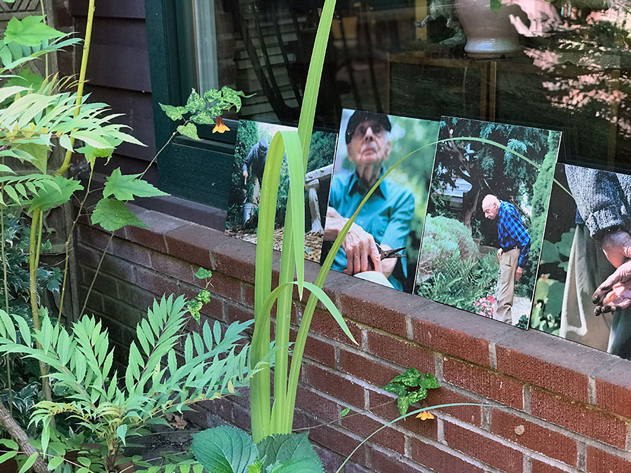 The Courtyard Garden by Linda Wisner