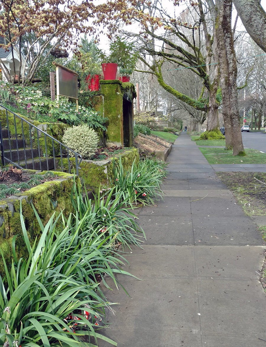 Joanne Fuller Winter Garden