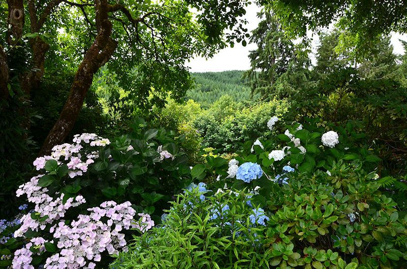 HPSO Open Gardens - Joy Creek Nursery