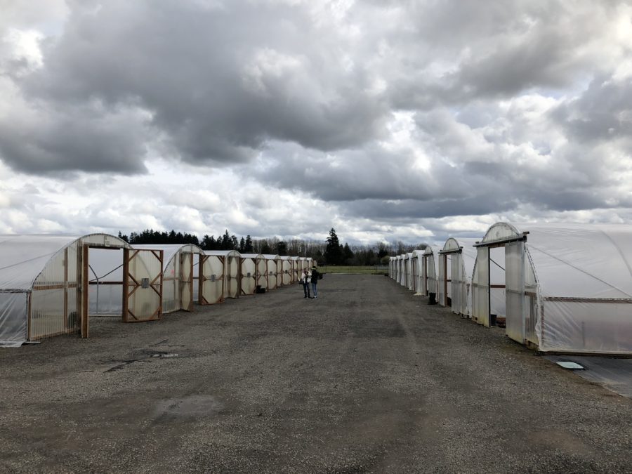 Little Prince of Oregon Nursery