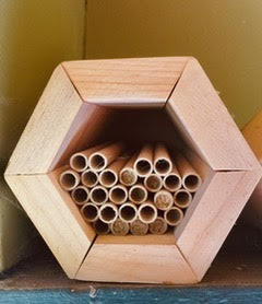 Plant for Pollinators