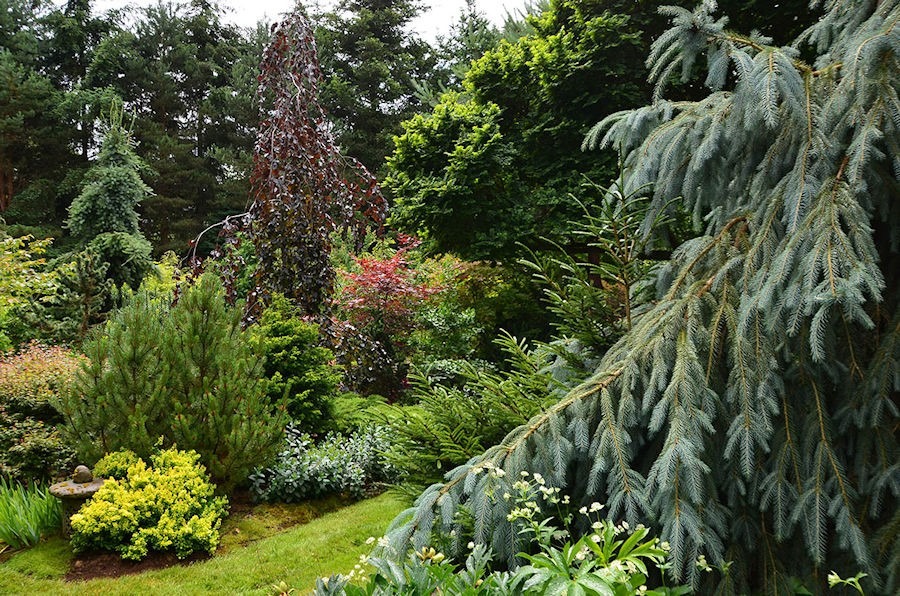 Judy McElhaney Garden - Matsu Kaze