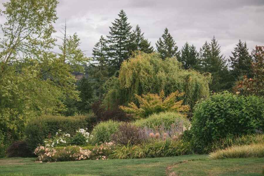 member garden tour lux perennials