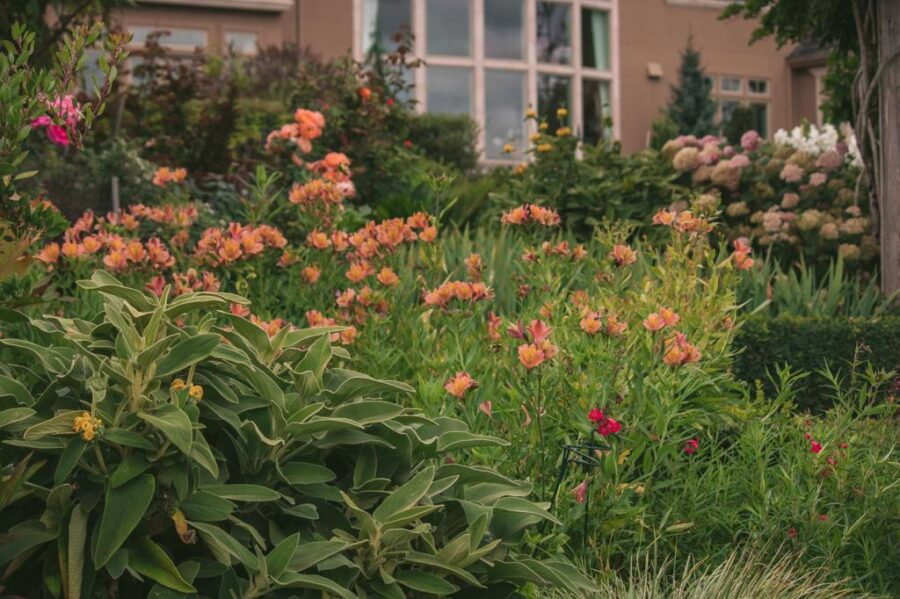 member garden tour lux perennials