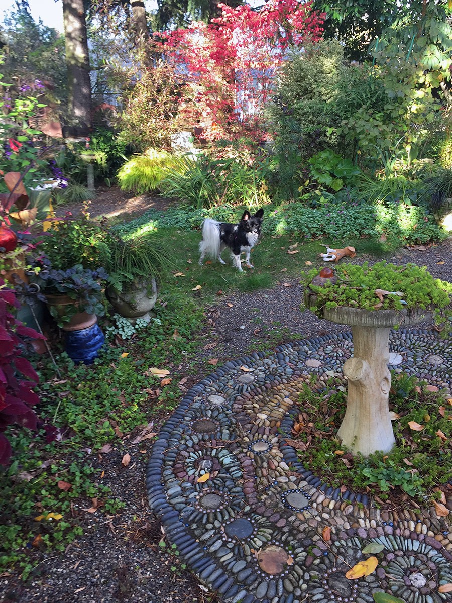 Nancy Goldman Garden