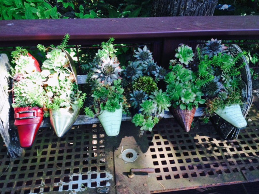 Nancy Goldman Garden