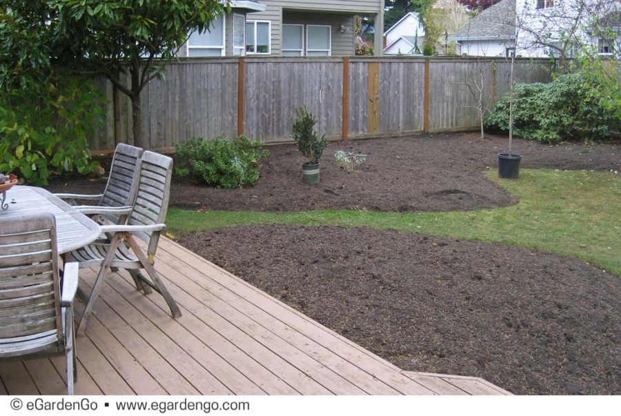 Darcy Daniels Garden Designer