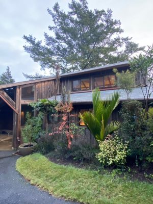 Rarely seen plants from the Southern Hemisphere thrive in Oregon's mild Curry County.