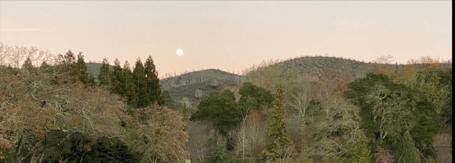Harvest moon rises over Sonoma Botanical Garden.