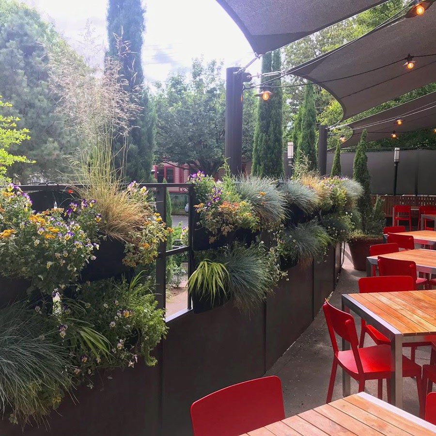 Contained Exuberance for the Summer Garden