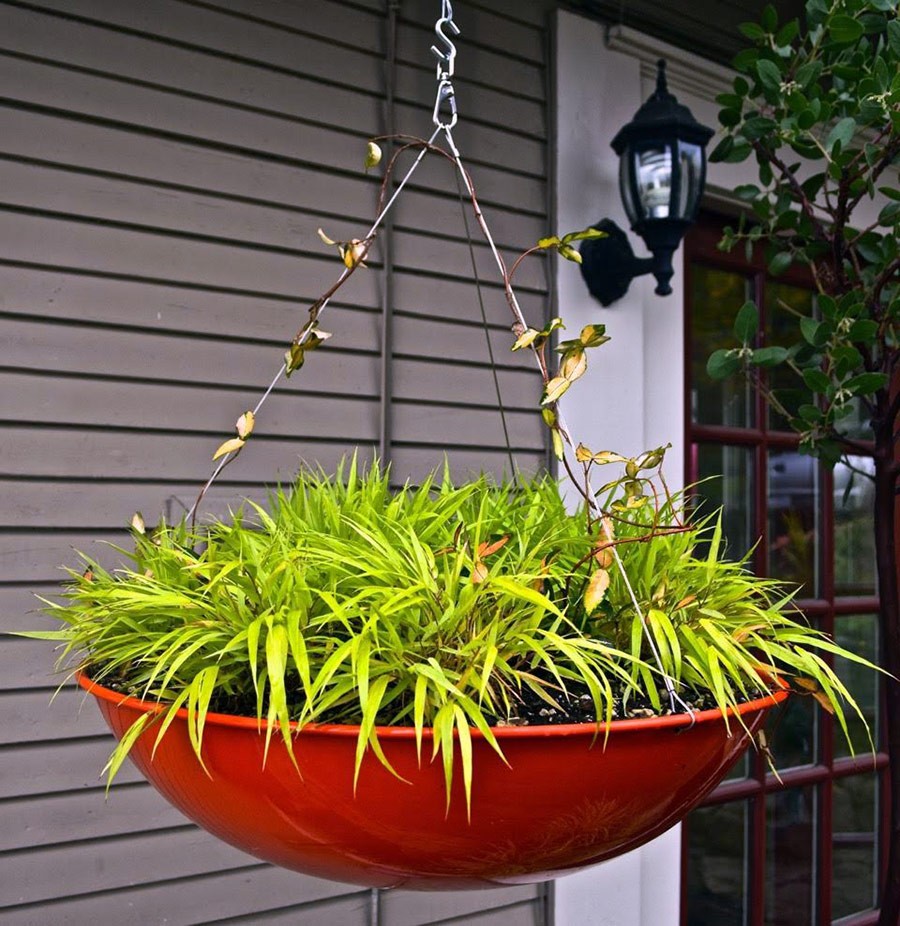 Contained Exuberance for the Summer Garden