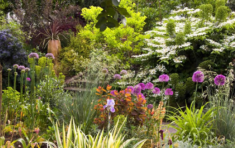 Plant selection and design with Darcy Daniels