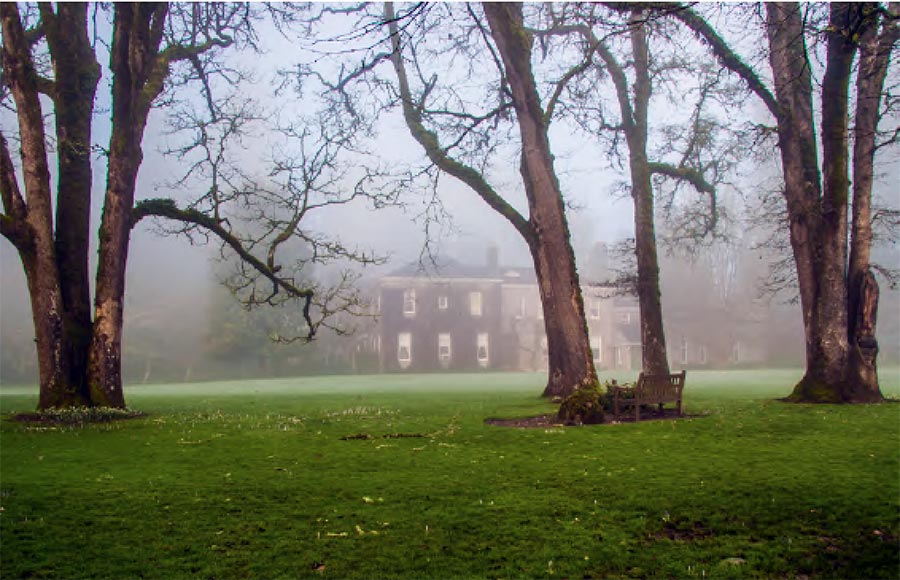 Plant selection and design with Darcy Daniels