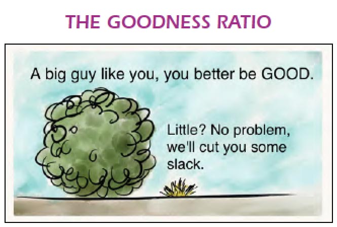 Plant selection and design with Darcy Daniels